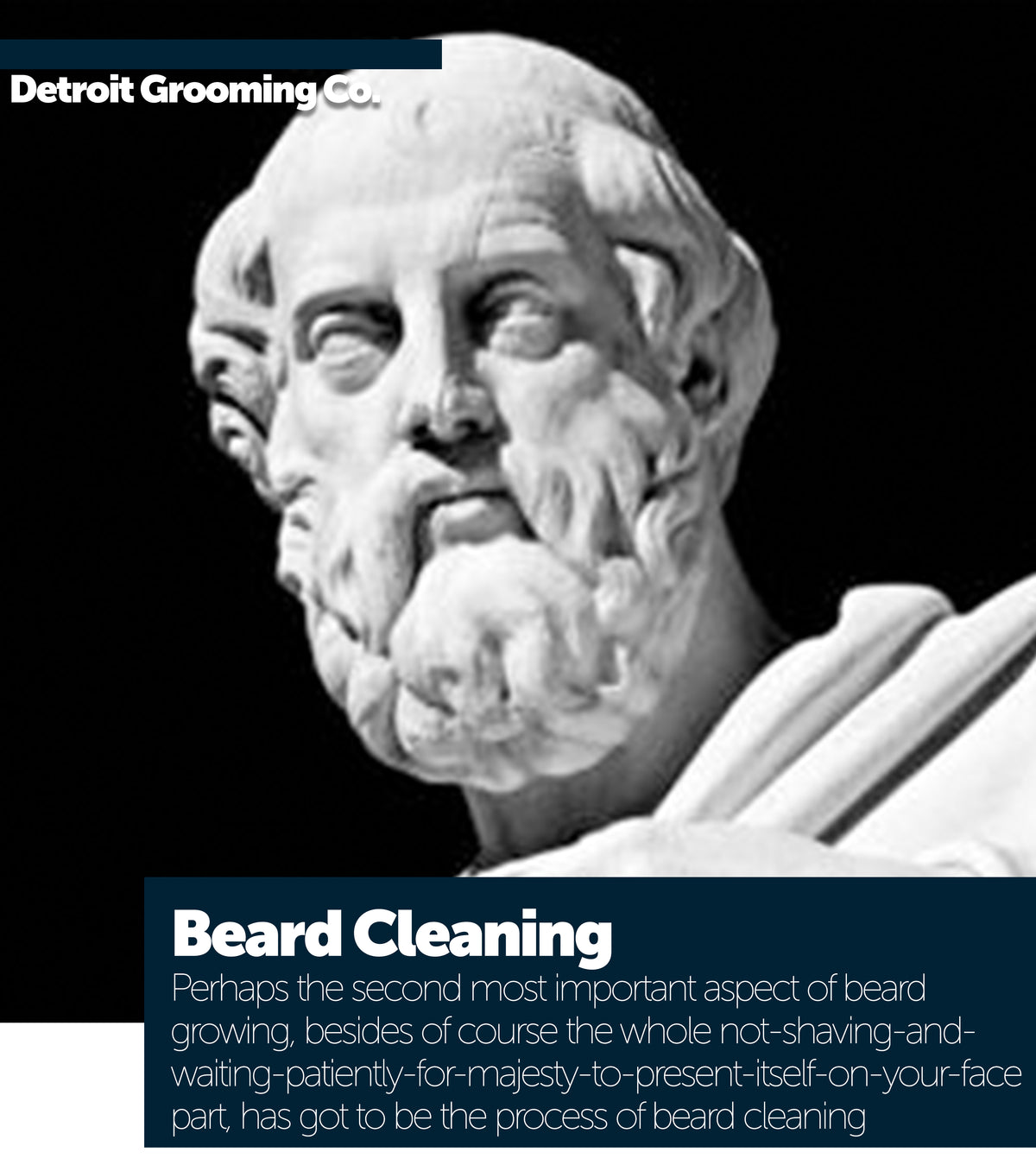 Beard Cleaning