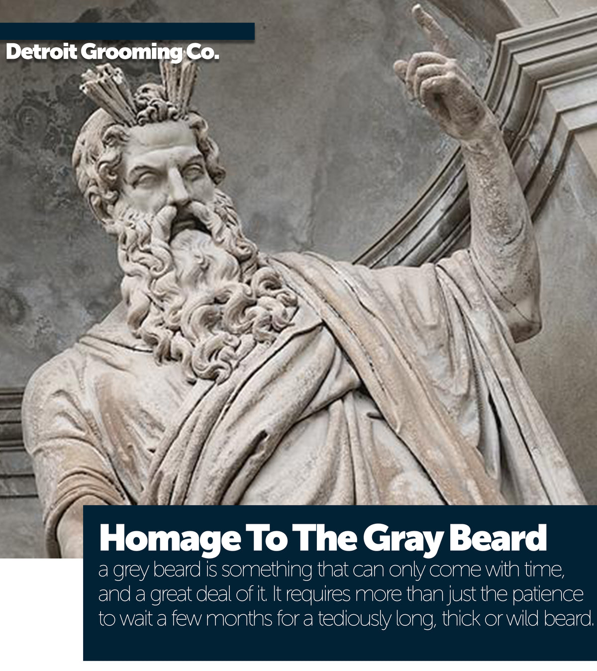 Homage To The Gray Beard